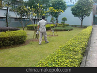 第29届全国卫生杀虫药械学术交流会在成都市召开